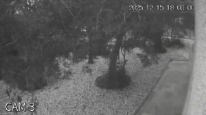 Caméra IP - Espagne