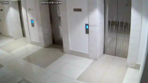 Caméra IP - United Arab Emirates