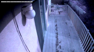 Caméra IP - Estados Unidos