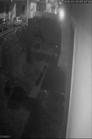 Caméra IP - Italien