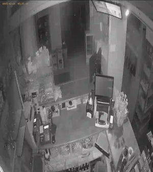 Caméra IP - Hungary