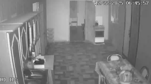 Caméra IP - Georgia