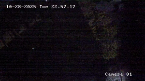 Caméra IP - Rumänien