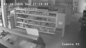 Caméra IP - Pays-Bas