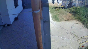 Caméra IP - Tunesien