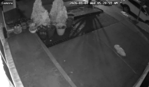 Caméra IP - Vereinigte Staaten von Amerika