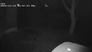 Caméra IP - South Korea