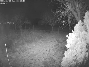 Caméra IP - Hongrie