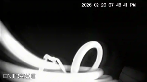 Caméra IP - United States of America