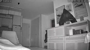 Caméra IP - Espagne