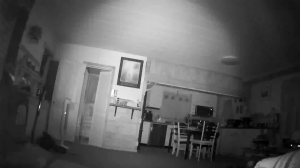 Caméra IP - Stati Uniti d'America