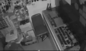 Caméra IP - Singapore