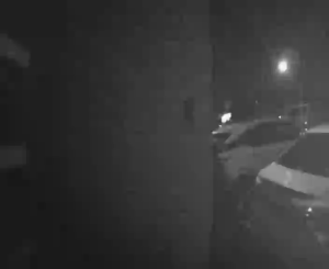 Caméra IP - Australia