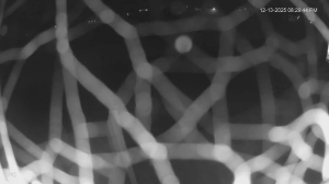 Caméra IP - États-Unis d'Amérique