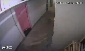 Caméra IP - Hongkong