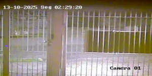 Caméra IP - Brasile