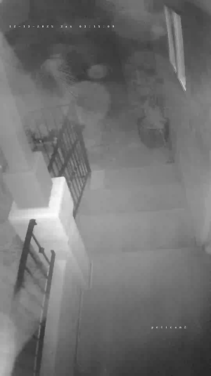 Caméra IP - États-Unis d'Amérique