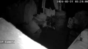 Caméra IP - United States of America