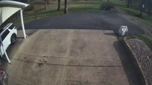 Caméra IP - Stati Uniti d'America