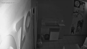 Caméra IP - Russian Federation