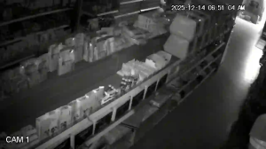 Caméra IP - Égypte