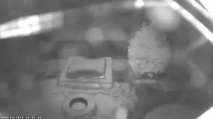 Caméra IP - États-Unis d'Amérique