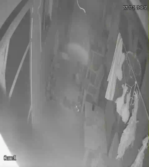 Caméra IP - Türkiye