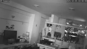 Caméra IP - Hungary