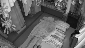 Caméra IP - Russian Federation