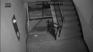 Caméra IP - South Korea