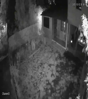 Caméra IP - Paraguay