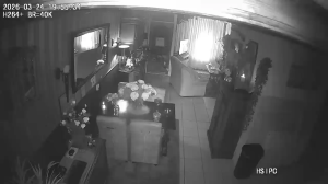 Caméra IP - Pays-Bas