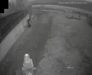 Caméra IP - Italien