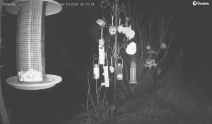 Caméra IP - Reino Unido