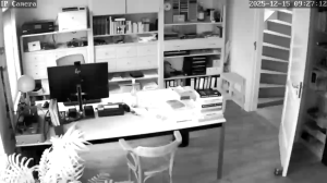 Caméra IP - Pays-Bas