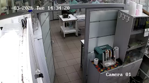 Caméra IP - Russian Federation