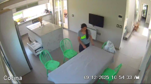 Caméra IP - Argentine