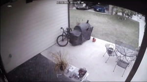 Caméra IP - États-Unis d'Amérique