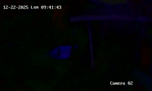 Caméra IP - Rumanía