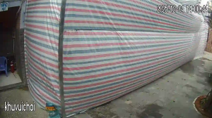 Caméra IP - Vietnam