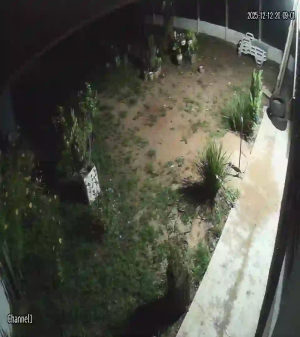 Caméra IP - Paraguay