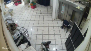 Caméra IP - Algérie