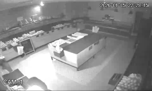 Caméra IP - Espagne