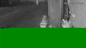 Caméra IP - Estados Unidos