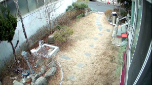 Caméra IP - South Korea