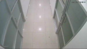 Caméra IP - Malesia