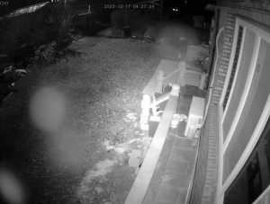 Caméra IP - South Korea