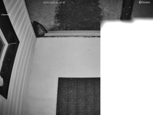 Caméra IP - Belgium