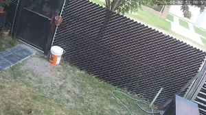 Caméra IP - Argentinien