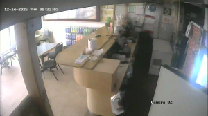 Caméra IP - United States of America